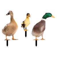 Ioensy - 3 Piezas De Adornos De Estacas De Estatua De Animales De Pato Para Decoración De Pato Al Aire Libre En El Patio Trasero
