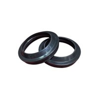 Genérico - Guardapolvos Telescopicas Moto Dominar 250 - 400