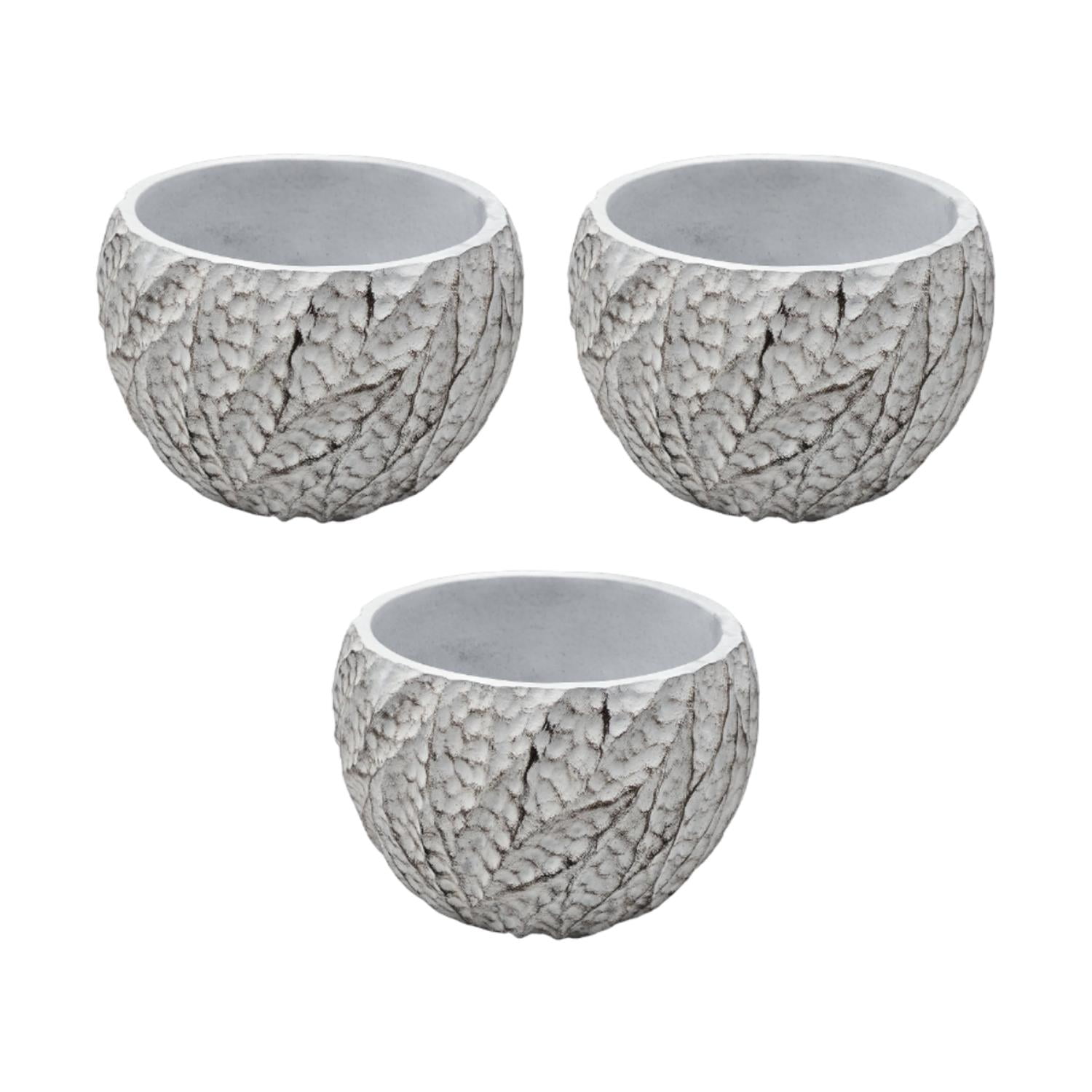 Fliperex - Set 3 Macetero Maceta Acabado Cemento Relieve Hojas Blanco S Blanco