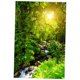thumbnail image 3 of 3d impermeable tapiz-paisaje serie bosque luz del sol decoración 180x180cm, 3 of 3