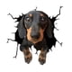 thumbnail image 2 of Pegatinas De PVC Para Perros, Calcomanías Para Grietas De Coches, Adhesivos Para Ventana De Mascotas Para Pared, Nevera, Camión D, 2 of 5