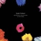 thumbnail image 2 of LP Republic Records Junk Culture 180 g a media velocidad, 2 of 2