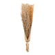 thumbnail image 1 of Manojo de Lover Grass 60 cm, 1 of 1