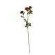 thumbnail image 1 of Ranúnculo Rojo 73cm Con Textura Realista, 1 of 3
