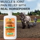 thumbnail image 3 of Gel analgésico Absorbine Veterinary Liniment 350 ml, 3 of 3
