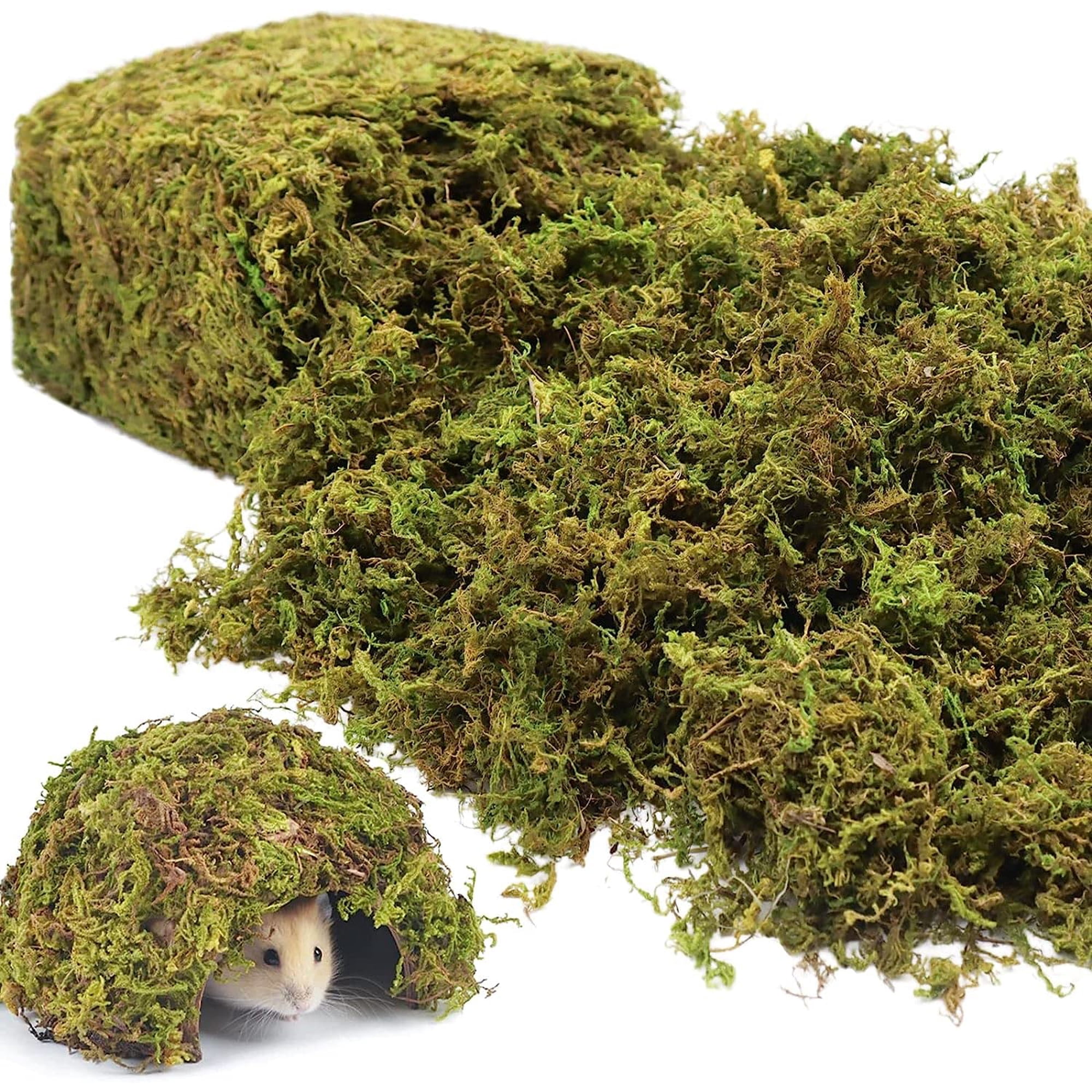 Musgo Artificial Artificial Riare De 0,6 Kg Para Decoración De Plantas De Interior