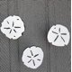 thumbnail image 1 of Imanes para mosquiteros DCentral 8 cm blancos de doble cara, 1 of 4