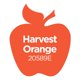 thumbnail image 3 of Pintura acrílica Apple Barrel 59 ml Naranja Cosecha, 3 of 9