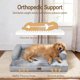 thumbnail image 2 of Cama ortopédica XL gris lavable para perros Comfort Expression, 2 of 7