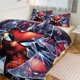 thumbnail image 1 of Spiderman Bedding Sets for Kids Men Women Twin Size, 1 of 5