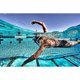 thumbnail image 2 of TYR Ultralite Elite Swim Snorkel para adultos, 2 of 3
