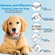 thumbnail image 2 of Collar para perros con hebilla de liberación rápida para perros pequeños, medianos y grandes Collar para perros de acero cromado Collar de entrenamiento para perros, 2 of 3