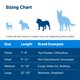 thumbnail image 4 of Collar Martingale PetSafe con hebilla Quick Snap, negro, talla M, 4 of 5