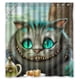 thumbnail image 1 of Cortina de ducha con diseño de gatos de Alicia en el País de las Maravillas, con ganchos, tamaño 66 x 72 pulgadas, 1 of 3