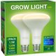 thumbnail image 1 of Ampolleta LED Briignite BR30 Cultivo 12W, 1 of 3