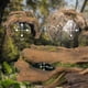 thumbnail image 4 of Terrarium Hideout Orchid Valley con forma de lagarto, serpiente o reptil, tamaño XL, 4 of 4