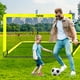 thumbnail image 3 of Portería de fútbol FITFIZZ portátil de 6 x 4 pies con pelota, escalera y conos, 3 of 3