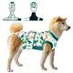 thumbnail image 1 of Traje De Recuperación Postoperatoria Para Perro Dinosaur Talla L, 1 of 6
