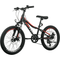 Genérico - Bicicleta Totem Mtb Aro 20 Modelo 1100 Negro Xs