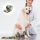 thumbnail image 5 of Venda veterinaria para mascotas GIFTMISSU, 6 rollos de 5 yardas, camuflaje, 5 of 8