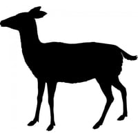 Rienda Libre Graphics - Decomural Doe Deer Woodland Animals Pack Ws-33087