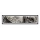 thumbnail image 1 of Cuadro Panorámico Elefantes Detalles con Marco Negro, 1 of 1