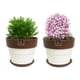 thumbnail image 3 of Set de 2 Maceta Greta 14cm Blanca y sus platos, 3 of 3