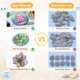 thumbnail image 5 of Piedras para pintar Rokraft 36 piezas 4‑5 cm lisas y naturales, 5 of 7