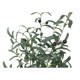 thumbnail image 4 of Planta Artificial Arbol de Olivo 90 cm, 4 of 9