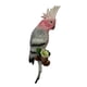 thumbnail image 5 of Simulación De Loro Pájaro Escultura Pared D, 5 of 5