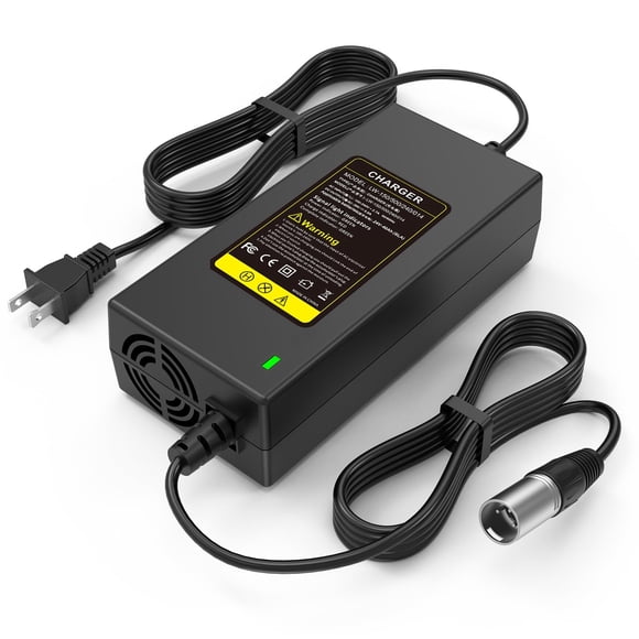 Cargador de baterías 24V 5A 120W para Lakematic, Pride Mobility...