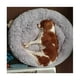 thumbnail image 3 of Cama redonda suave para perros extragrande, lavable y con cojín, de lujo, con forma de donut para perros grandes, 80 cm de largo, gris claro, 3 of 5