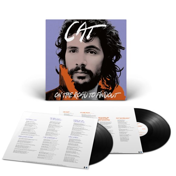 LP UNIVERSAL MUSIC GROUP En el Camino a Descubrir: Grandes Éxitos (2 LP)