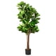 thumbnail image 4 of Planta Artificial Decorativa Arbol Grande Ficus Lyrata 180 cm, 4 of 7