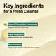 thumbnail image 5 of Espuma Limpiadora Green Tangerine Vitamina C 150 Ml, 5 of 7
