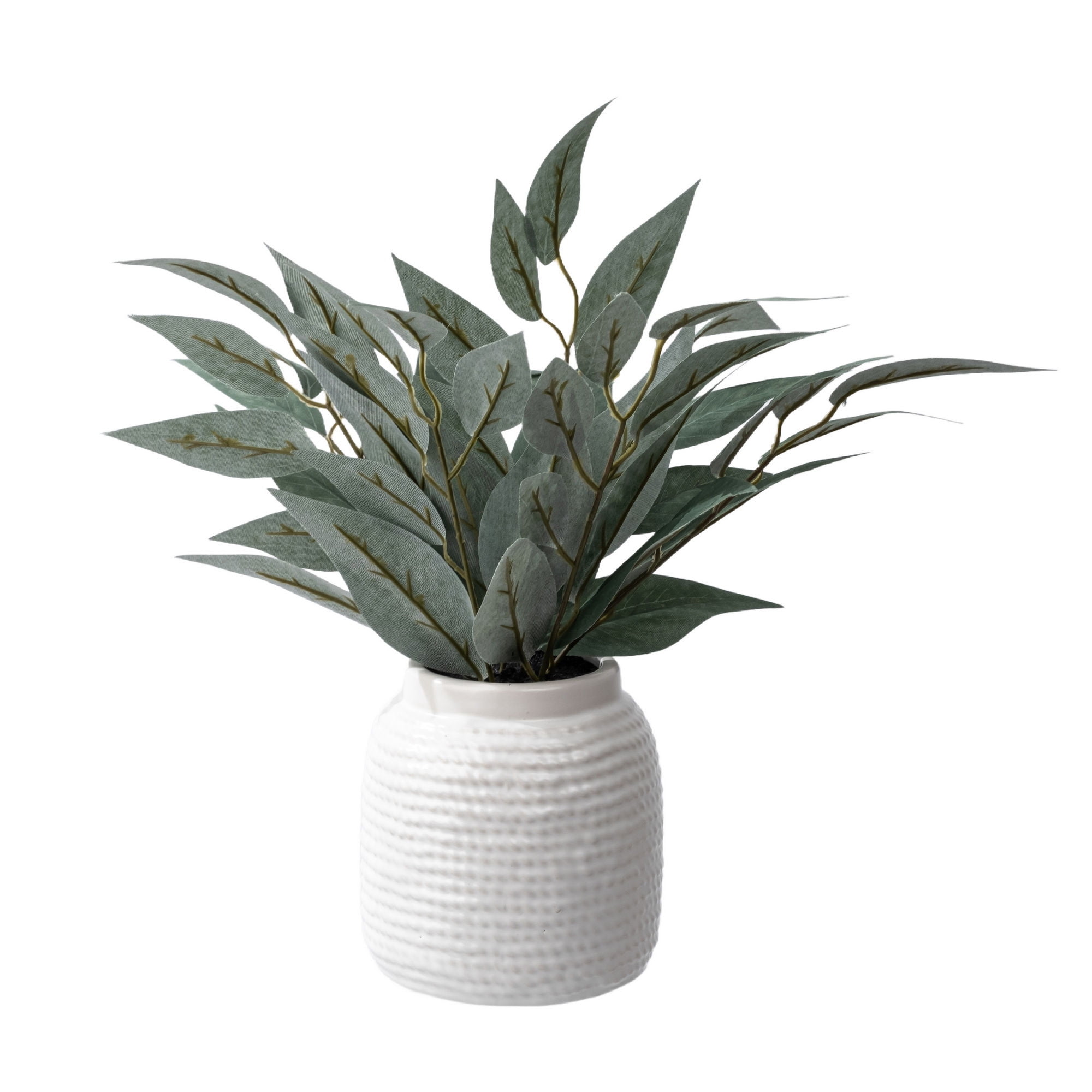 Peperomia Artificial