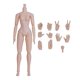 thumbnail image 5 of Juguetes De Cuerpo Musculoso De 12 Pulgadas, Coleccionables En Miniatura, Hombro Estrecho Desmontable, Hembra, Blanco, 5 of 5