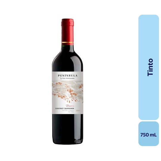Vino Tinto Botella 750 mL Ventisquero