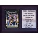 thumbnail image 1 of Placa C&I Collectables MLB Pittsburgh Steelers Terry Bradshaw, 1 of 1