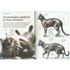 thumbnail image 2 of El magnífico libro de los gatos, 2 of 5