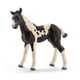 thumbnail image 1 of Figura de juguete Schleich Pinto Poal Realistic Spotted Horse Kids, 1 of 5