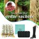 thumbnail image 5 of Formadores de Botas Cedar Space - Pack de 2 con Frescador de Cedro, 5 of 6