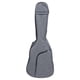thumbnail image 3 of Guitarra Electroacustica Palmer PC-17EQ CH, 3 of 3