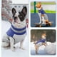 thumbnail image 2 of Abrigos de invierno para perros, chaleco polar con arnés incorporado, traje de nieve para perros para clima frío, chaqueta acolchada de invierno para perros a prueba de viento (azul), 2 of 6