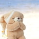 thumbnail image 4 of Peluche Linzy Oso de Oración 25 cm, 4 of 6