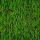 thumbnail image 1 of Pasto Sintético Foresta P20 Mm 850 Grs - Rollo 2 X 4 Mt, 1 of 2