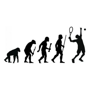 Rienda Libre Graphics - Decomural Evolution Tennis Ws-42983