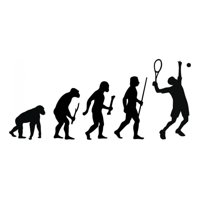 Rienda Libre Graphics - Decomural Evolution Tennis Ws-42983