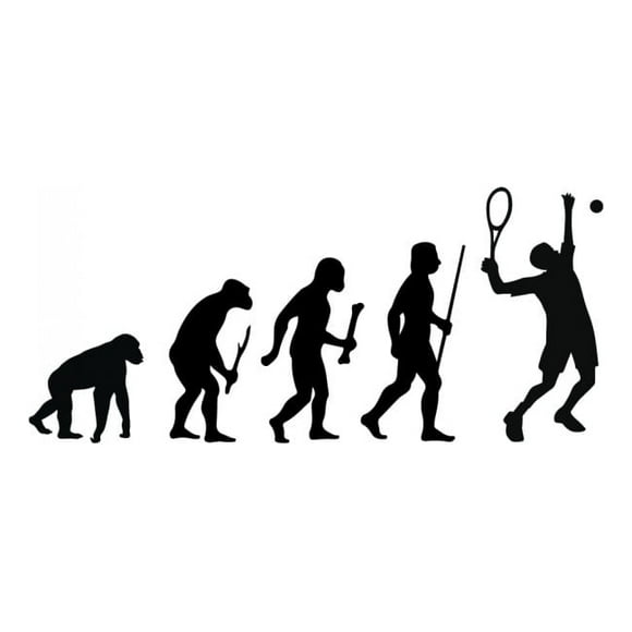 Decomural Evolution Tennis WS-42983