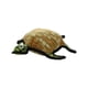 thumbnail image 2 of Juguete para perros ANSALDO PETS Tuffy Tortuga resistente, 2 of 5
